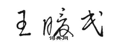 骆恒光王暖民草书个性签名怎么写