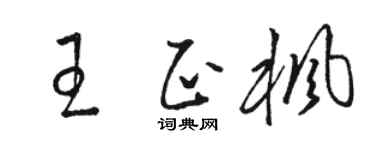 骆恒光王正枫草书个性签名怎么写