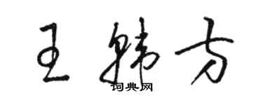 骆恒光王韩方草书个性签名怎么写