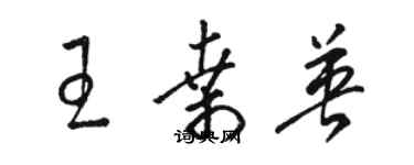 骆恒光王桑英草书个性签名怎么写