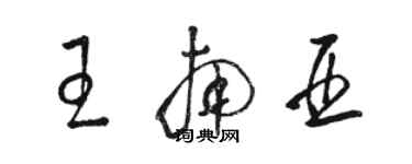 骆恒光王南亚草书个性签名怎么写