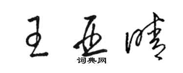 骆恒光王亚晴草书个性签名怎么写