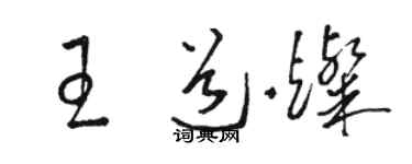 骆恒光王道灿草书个性签名怎么写