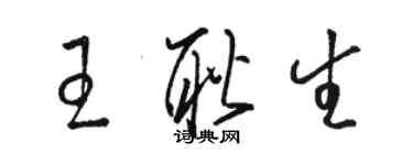 骆恒光王耿生草书个性签名怎么写