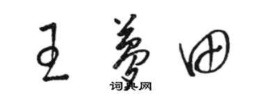 骆恒光王梦田草书个性签名怎么写