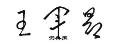 骆恒光王军昂草书个性签名怎么写