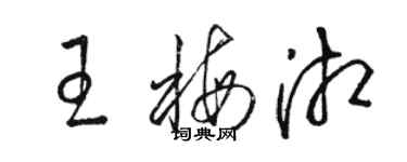 骆恒光王梅湘草书个性签名怎么写