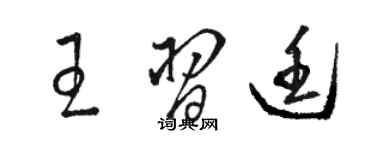 骆恒光王习廷草书个性签名怎么写