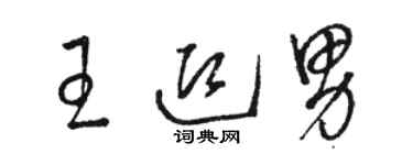 骆恒光王迎男草书个性签名怎么写