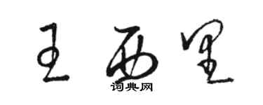 骆恒光王西里草书个性签名怎么写
