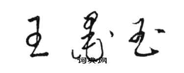 骆恒光王墨玉草书个性签名怎么写