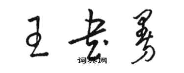 骆恒光王书曼草书个性签名怎么写