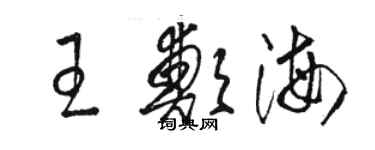 骆恒光王郑海草书个性签名怎么写
