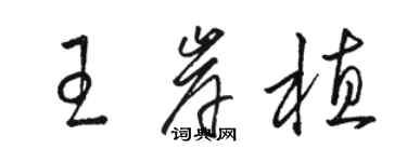 骆恒光王岸植草书个性签名怎么写
