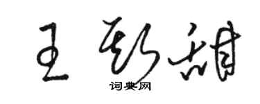 骆恒光王斯甜草书个性签名怎么写