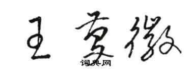 骆恒光王庆徽草书个性签名怎么写