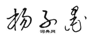 骆恒光杨子墨草书个性签名怎么写