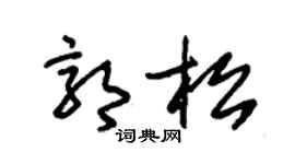 朱锡荣郭松草书个性签名怎么写