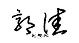 朱锡荣郭佳草书个性签名怎么写