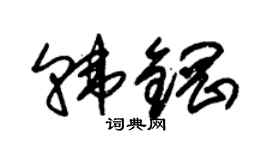 朱锡荣韩钢草书个性签名怎么写