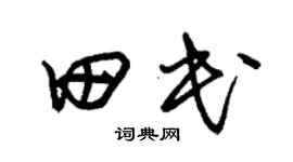 朱锡荣田民草书个性签名怎么写