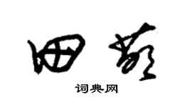 朱锡荣田萌草书个性签名怎么写