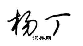 朱锡荣杨丁草书个性签名怎么写