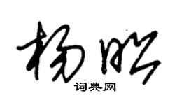 朱锡荣杨昭草书个性签名怎么写