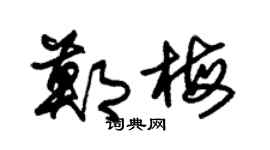 朱锡荣郑梅草书个性签名怎么写