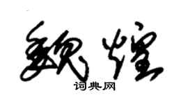 朱锡荣魏煌草书个性签名怎么写