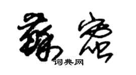 朱锡荣苏蜜草书个性签名怎么写