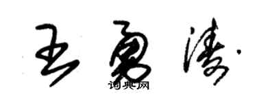 朱锡荣王勇涛草书个性签名怎么写