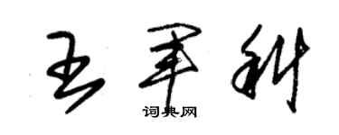 朱锡荣王军科草书个性签名怎么写