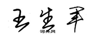 朱锡荣王生军草书个性签名怎么写