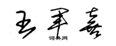 朱锡荣王军喜草书个性签名怎么写