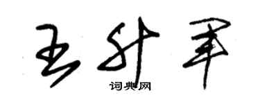 朱锡荣王升军草书个性签名怎么写