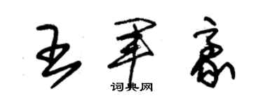 朱锡荣王军豪草书个性签名怎么写