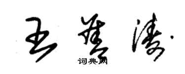 朱锡荣王善涛草书个性签名怎么写