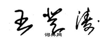 朱锡荣王登涛草书个性签名怎么写