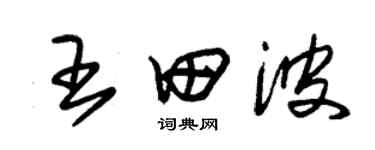 朱锡荣王田波草书个性签名怎么写