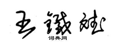 朱锡荣王铁斌草书个性签名怎么写