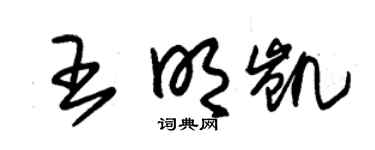 朱锡荣王明凯草书个性签名怎么写