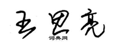 朱锡荣王思亮草书个性签名怎么写