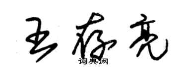 朱锡荣王存亮草书个性签名怎么写