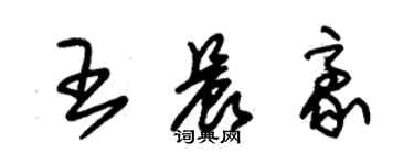 朱锡荣王晨豪草书个性签名怎么写