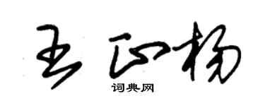 朱锡荣王正杨草书个性签名怎么写