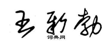 朱锡荣王新勃草书个性签名怎么写