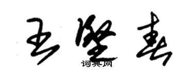 朱锡荣王坚春草书个性签名怎么写