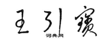骆恒光王引宝草书个性签名怎么写