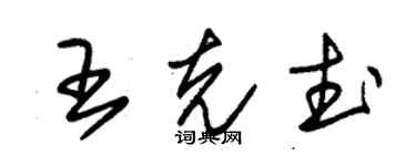 朱锡荣王克武草书个性签名怎么写